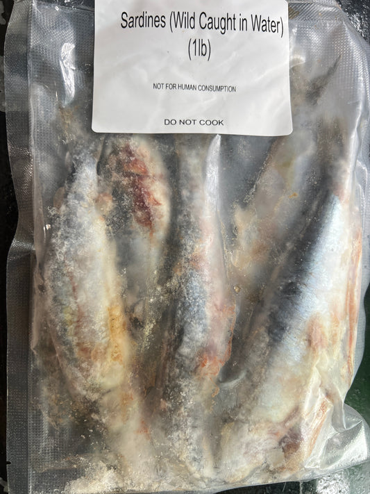 Sardines 1 lb