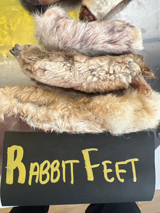 Rabbit feet large